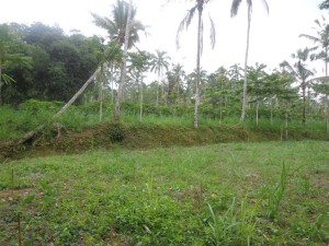 Land for sale in Ubud bali - LUB118