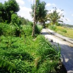Land for sale in Ubud - LUB139