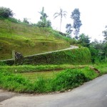 Land for sale in Ubud Bali - LUB189