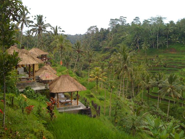 land for sale in Ubud