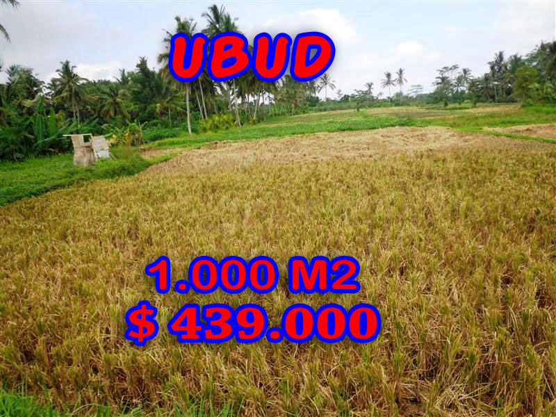 land sale in Ubud Bali