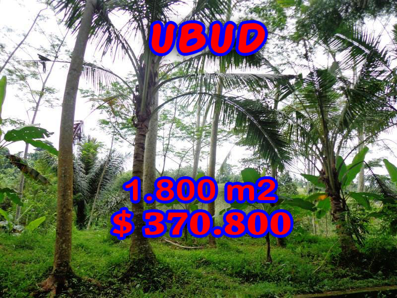 Land-sale-in-Ubud