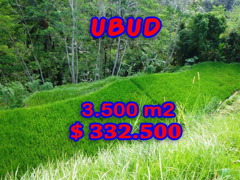 Land-in-Ubud-Bali-for-sale