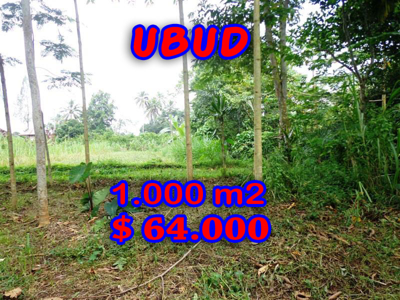 Land in Sale for sale
