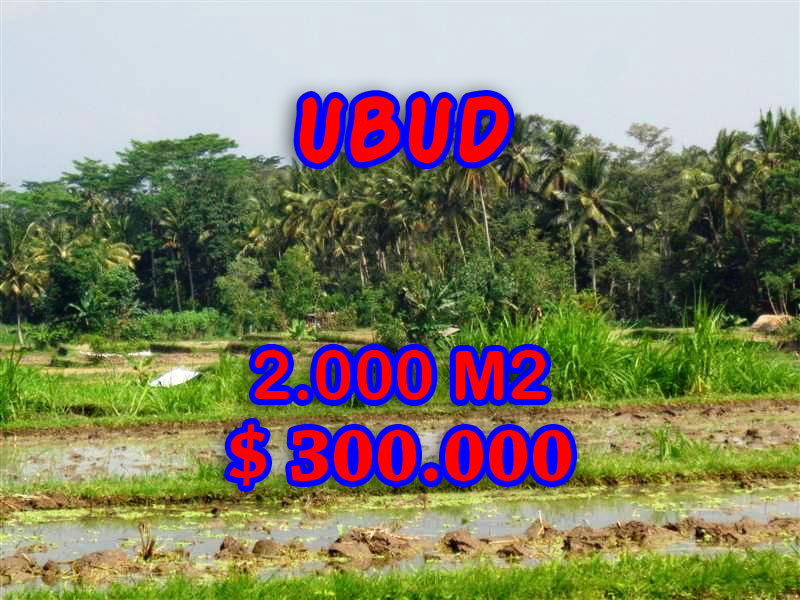 Land for sale in Ubud land