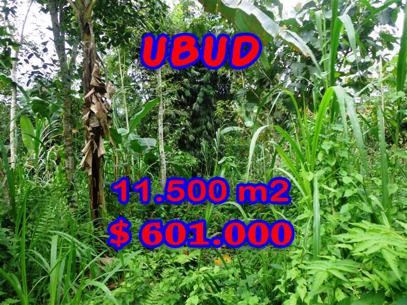 Land-in-Ubud-for-sale
