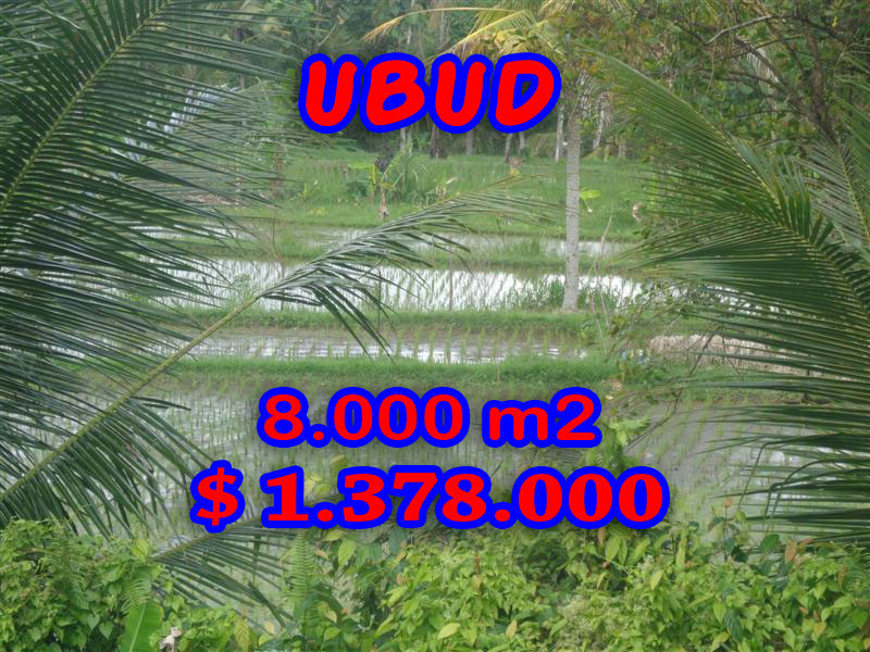 Ubud Land for sale