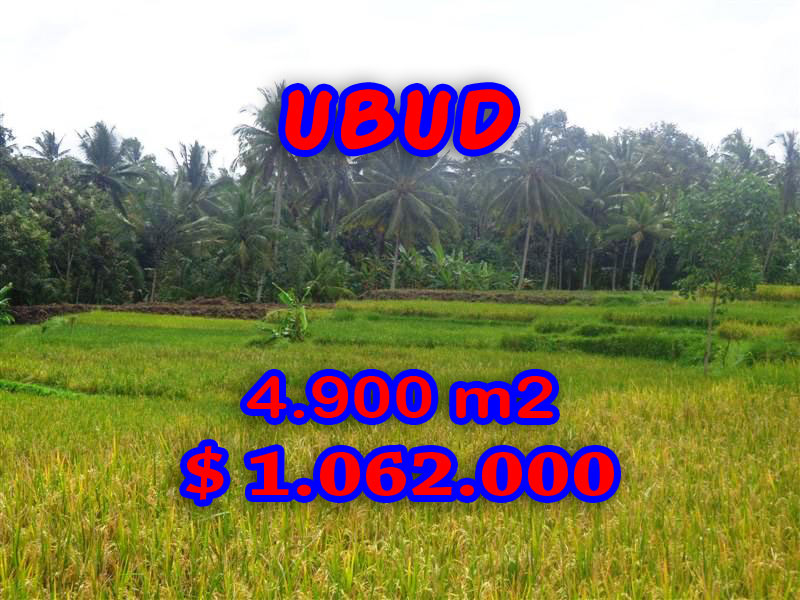 Land for sale in Ubud Bali by Bali Real Property