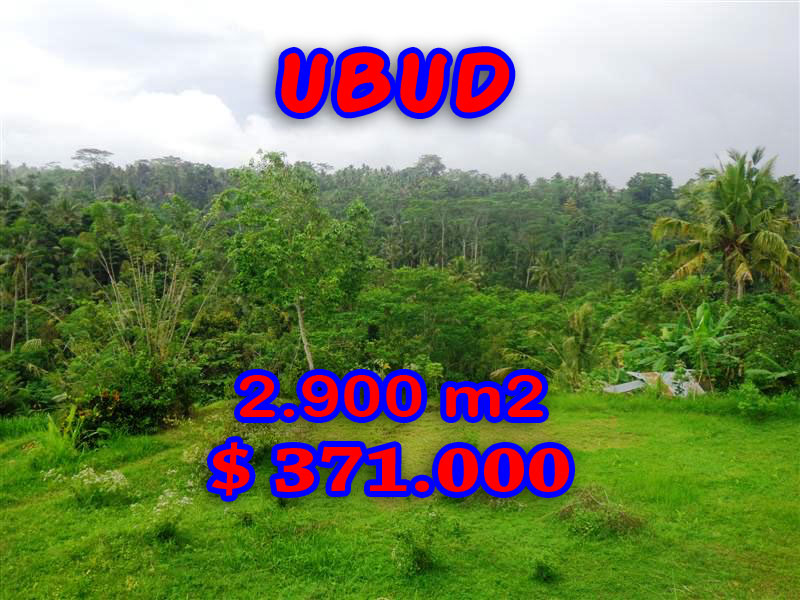Property for sale in Ubud land