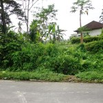 For sale land in Ubud Bali
