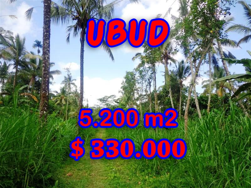Land-in-Ubud-Bali-for-sale