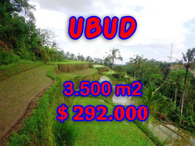 Land sale in Ubud Bali