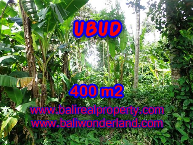 Land in Bali for sale, Stunning view in Ubud Bali – TJUB371