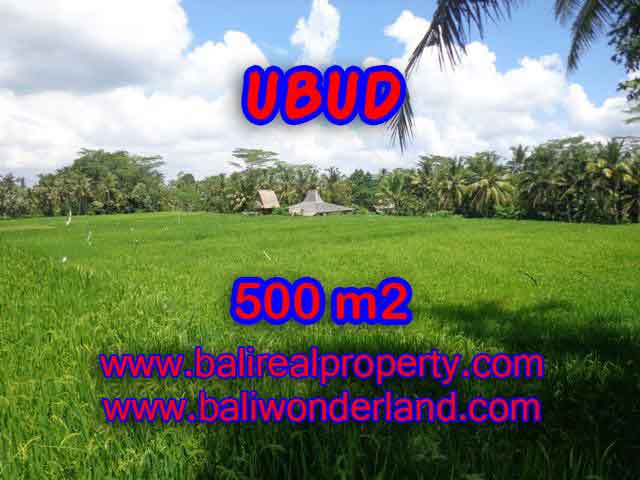 Land in Ubud for sale, Attractive view in Ubud Payangan Bali – TJUB402