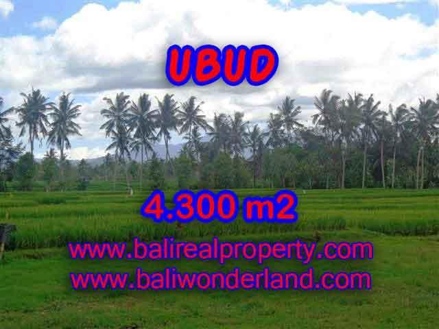 Land for sale in Bali, spectacular view in Ubud Bali – TJUB370