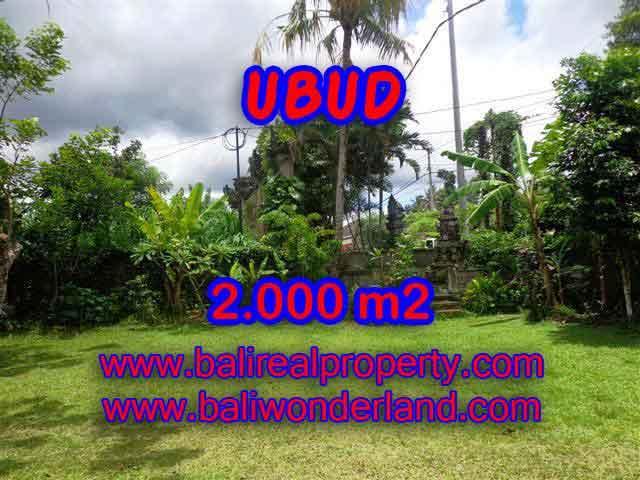 Land in Bali for sale, fantastic view in Ubud Bali – TJUB367