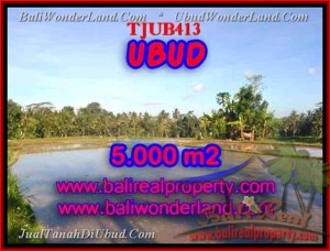 Exotic PROPERTY LAND SALE IN Ubud Payangan BALI TJUB413