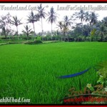 LAND IN UBUD BALI FOR SALE