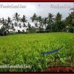 LAND FOR SALE IN UBUD