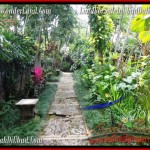 Exotic PROPERTY 6,500 m2 LAND FOR SALE IN Ubud Tegalalang TJUB479