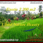 Magnificent PROPERTY LAND IN UBUD FOR SALE TJUB480