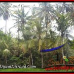 FOR SALE Exotic PROPERTY LAND IN Sentral Ubud BALI TJUB448