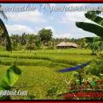 Beautiful LAND IN Sentral Ubud BALI FOR SALE TJUB449