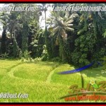 Beautiful LAND IN Sentral Ubud BALI FOR SALE TJUB449