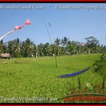 FOR SALE Exotic PROPERTY LAND IN Sentral Ubud BALI TJUB447