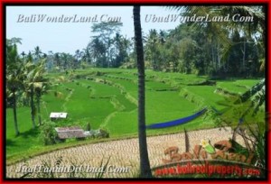 FOR SALE Affordable 10.000 m2 LAND IN Ubud Pejeng BALI TJUB456