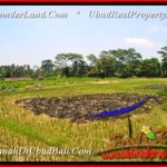 FOR SALE Magnificent PROPERTY LAND IN Ubud Tampak Siring BALI TJUB457