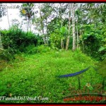 Affordable LAND SALE IN Ubud Payangan BALI TJUB486