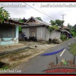 Magnificent PROPERTY 1,500 m2 LAND IN Ubud Tegalalang FOR SALE TJUB489