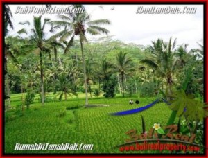 Exotic PROPERTY 2,000 m2 LAND FOR SALE IN Ubud Tegalalang TJUB490