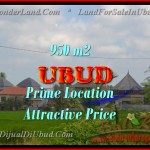 Exotic Sentral Ubud BALI LAND FOR SALE TJUB428