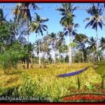 FOR SALE Magnificent PROPERTY 500 m2 LAND IN UBUD BALI TJUB433