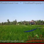 Magnificent PROPERTY LAND FOR SALE IN UBUD TJUB437