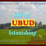 Exotic 600 m2 LAND FOR SALE IN UBUD BALI TJUB427