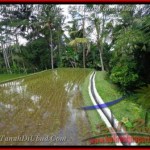 Affordable Ubud Tegalalang BALI LAND FOR SALE TJUB421
