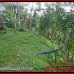 Exotic LAND SALE IN Ubud Tegalalang BALI TJUB422