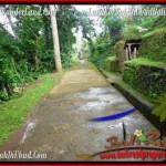 FOR SALE Exotic LAND IN Ubud Tampak Siring BALI TJUB493