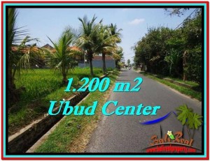 FOR SALE Magnificent PROPERTY 1,200 m2 LAND IN UBUD BALI TJUB525
