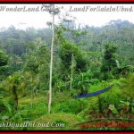 Exotic PROPERTY 16,500 m2 LAND FOR SALE IN Ubud Tampak Siring TJUB494