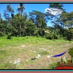 Beautiful PROPERTY 3,500 m2 LAND SALE IN Ubud Tampak Siring TJUB517