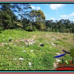 FOR SALE Magnificent PROPERTY LAND IN UBUD TJUB517