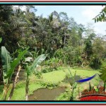 FOR SALE Affordable LAND IN Ubud Tampak Siring BALI TJUB519