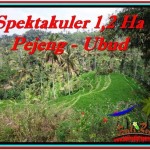 Magnificent LAND FOR SALE IN UBUD TJUB520
