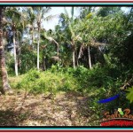FOR SALE Magnificent PROPERTY LAND IN UBUD TJUB523