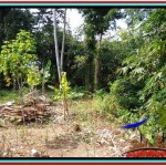 FOR SALE Magnificent PROPERTY LAND IN UBUD TJUB523