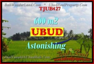 FOR SALE Affordable PROPERTY 600 m2 LAND IN UBUD BALI TJUB427